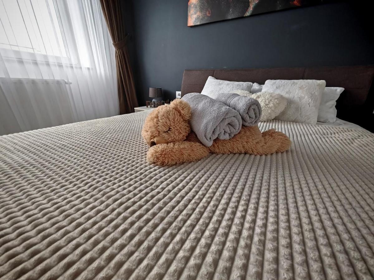 Luxurious Landing Apartment Μπρασόβ Εξωτερικό φωτογραφία